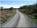 NY7899 : Track in Kielder Forest by David Purchase