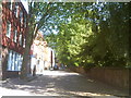 St. Johns Square Trees