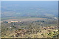 View from Kit Hill