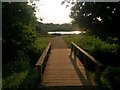 Colehill: small footbridge in Bytheway Field