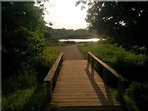 SU0300 : Colehill: small footbridge in Bytheway Field by Chris Downer