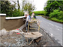 H4969 : Plastering a wall, Donaghanie by Kenneth  Allen