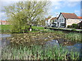 Village pond in Cranswick