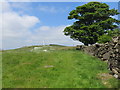 Wallside path ascending Pinfold Hill