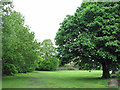 Triangular green space north of Lower Green Road