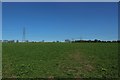 NZ1268 : Footpath crossing farmland, north of Bays Leap Farm by Graham Robson