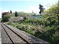 View from a Chester-Holyhead train - Back gardens of houses on Kelsterton Road