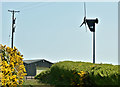 J4177 : Wind turbine, Ballykeel, Holywood (May 2918) by Albert Bridge