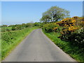 Lisnaharney Road, Eskeradooey