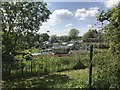 Allotments viewed from cemetery