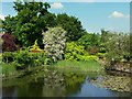 Large pond at Kynaston