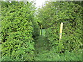 Footpath to Pasture Farm