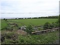 View from a Chester-Holyhead train - Farm underpass and sheep-pens