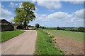 SO6754 : Farm road passing Warren Farm by Philip Halling