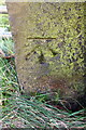 Benchmark on gatepost on NE side of Harden Road