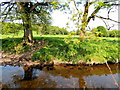 Stream, Castle Irvine Demesne