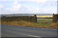 Field gate on NE side of Harden Road