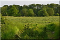 Entrance to freshly mown field, Sherfield English