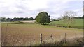SO6662 : Mixed farming, Poswick by Richard Webb