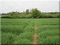 Footpath to Edmondthorpe