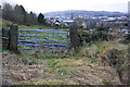 Field gate on west side of Thwaites Brow Road