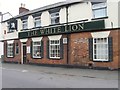 The White Lion