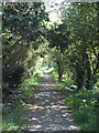 Bridleway from Otley Road to Arthington Road