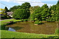 Village pond, Braishfield