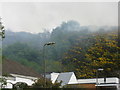 NT2469 : Gorse Fire on the Braid Hills by M J Richardson