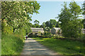 Road at Buckland Abbey