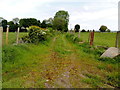 Lane to Scarvagherin Graveyard