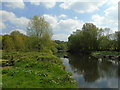 River Irwell at Kersal Dale (2)