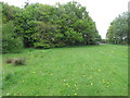 Lawn and trees, Southwaite Services M6