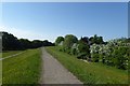 Path along the embankment