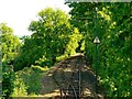 Cownhayne Loop, Seaton Tramway