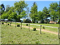 Caravan park at Plas Moel Garnedd