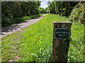 The site of Southerly Halt on the cycle track, heading south