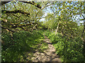 Bridleway alongside Arthington Quarry