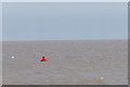 TM4762 : Buoy in the North Sea off Sizewell Beach by Geographer
