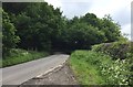 Possingworth Lane entering woodland