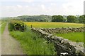 Dry stone wall and hedge off Stock Stile Lane