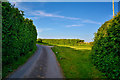 Taunton Deane : Country Lane