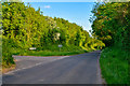 Taunton Deane : Country Road