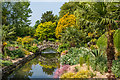 SU8512 : River Lavant, West Dean Gardens by Ian Capper