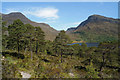 NH0064 : Scots Pine beside the Beinn Eighe Reserve Mountain Trail by Julian Paren