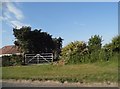 Field entrance on Royston Road, Litlington