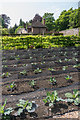 The Kitchen Gardens, West Dean Gardens