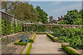 The Kitchen Gardens, West Dean Gardens