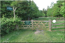 SP5934 : Evenley Wood Garden by Philip Jeffrey