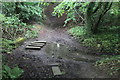 Stepping stones in Twyn y Cryn Wood